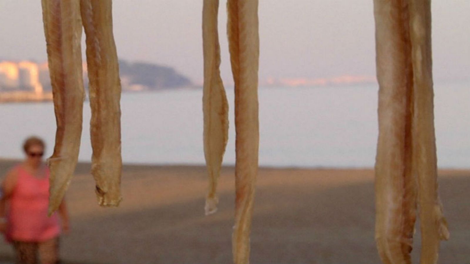 Cocinamos ¿tiburón?