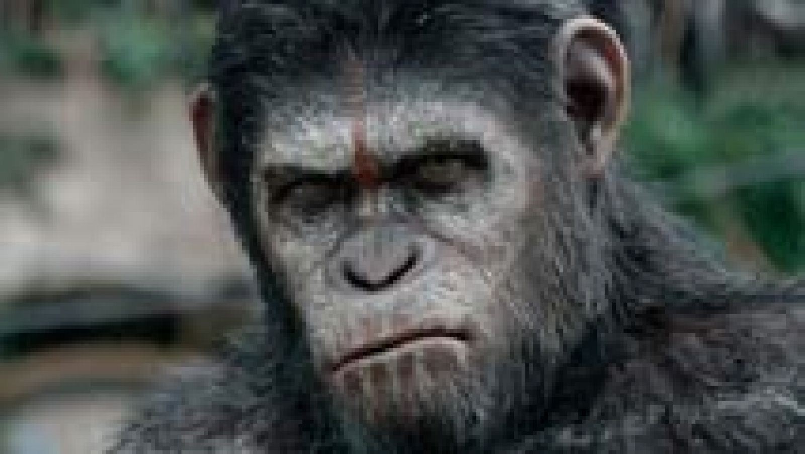 Días de cine: 'La guerra del planeta de los simios' | RTVE Play