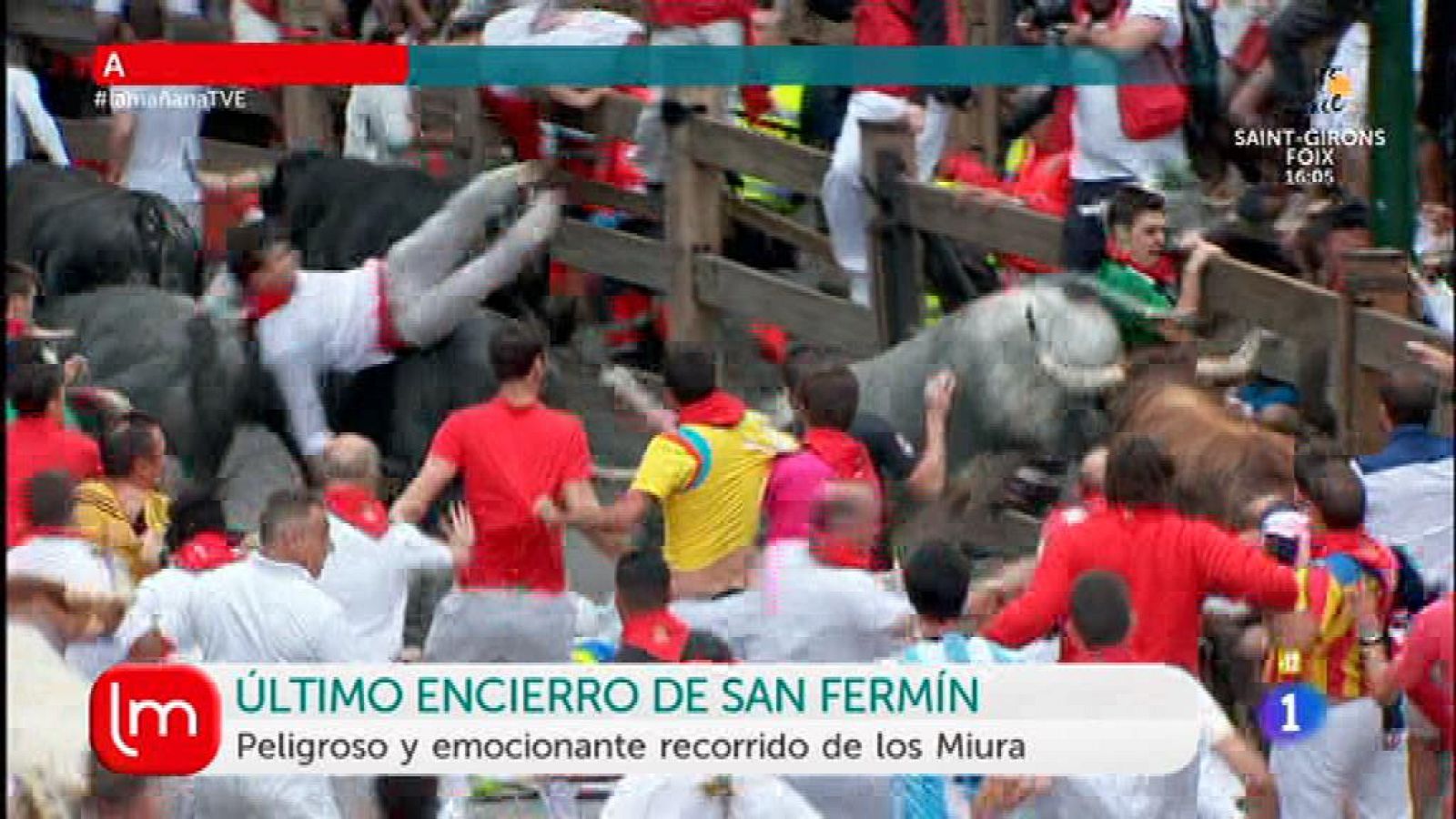 Último encierro con los Miura