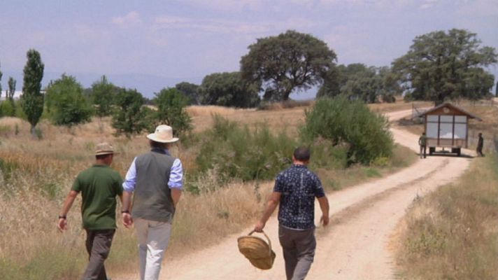 Aquí la Tierra - Un gallinero móvil