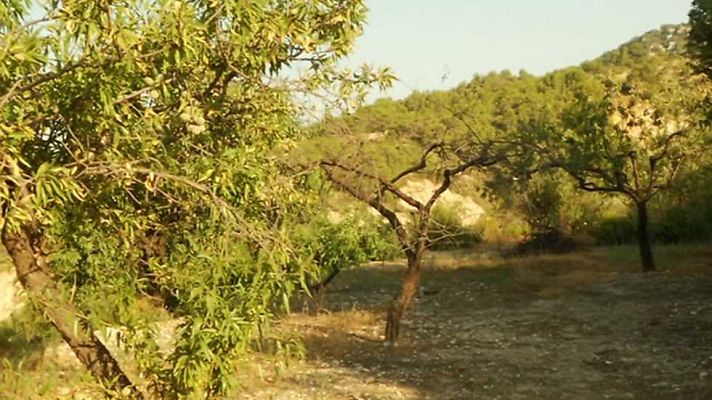 Agrosfera - Agrosfera - 15/07/17