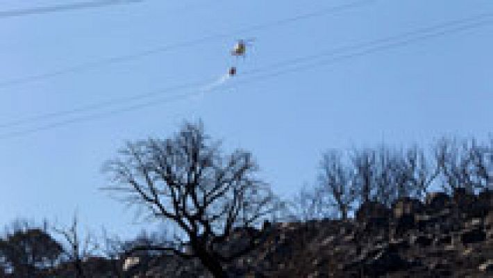 Telediario 1 - Ya no quedan llamas en el incendio de Arroyo de San Serván