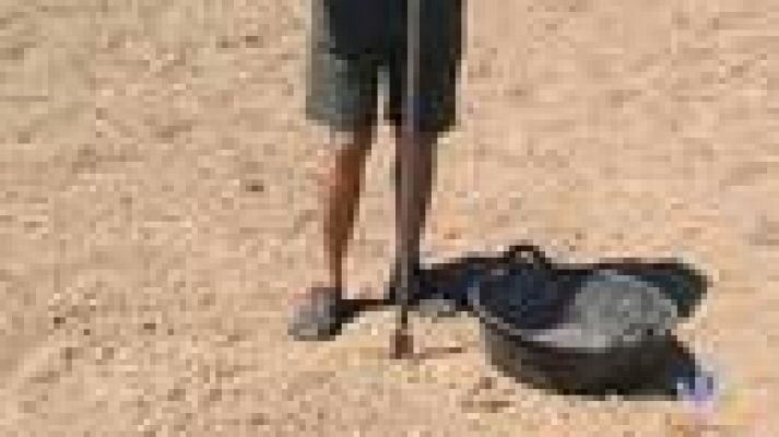 L'Informatiu - El centre IRTA ajuda als arrossaires del Delta de l'Ebre a millorar les seves collites