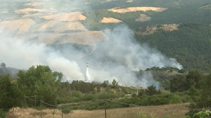 Teleplaneta - Teleplaneta - 17/07/2017