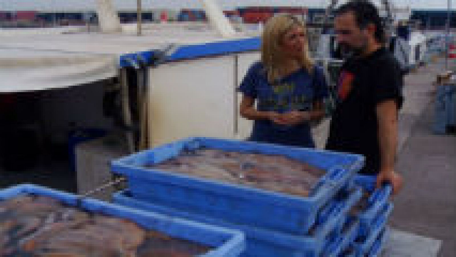 En busca de pulpos en Valencia