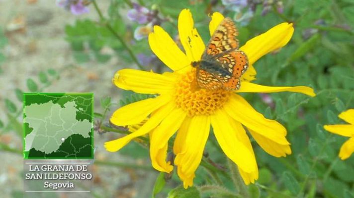 Aquí la Tierra - Aquí la Tierra - 17/07/17