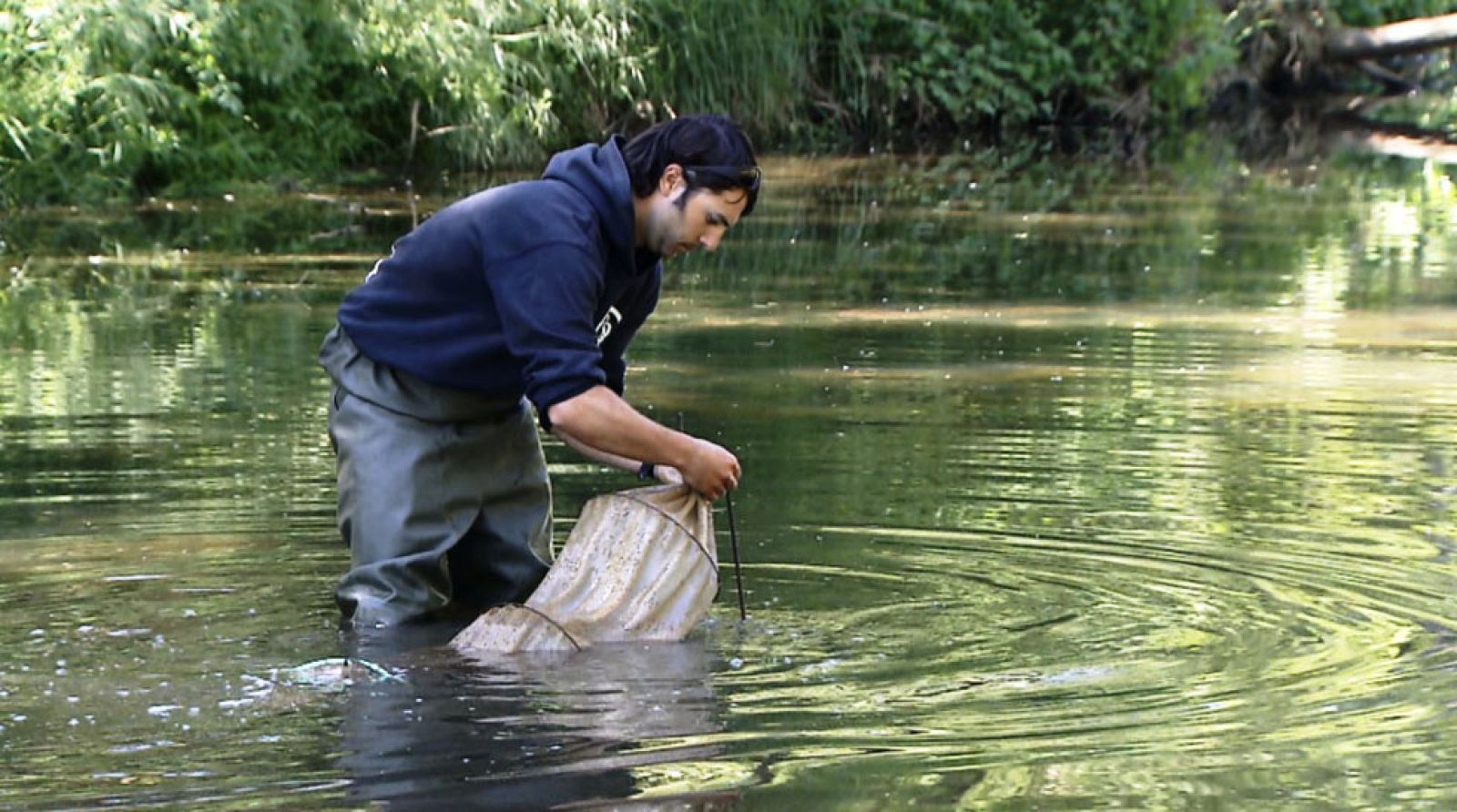 Tinc una idea - Empreses que tenen cura del medi ambient - Avanç