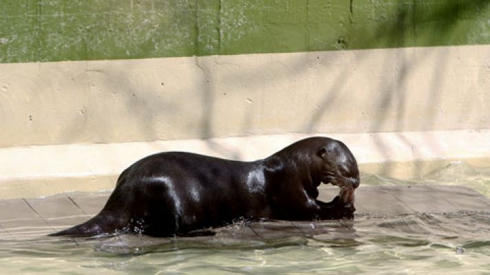 Informativo de Madrid - El Tiempo en la Comunidad de Madrid - 21/07/17