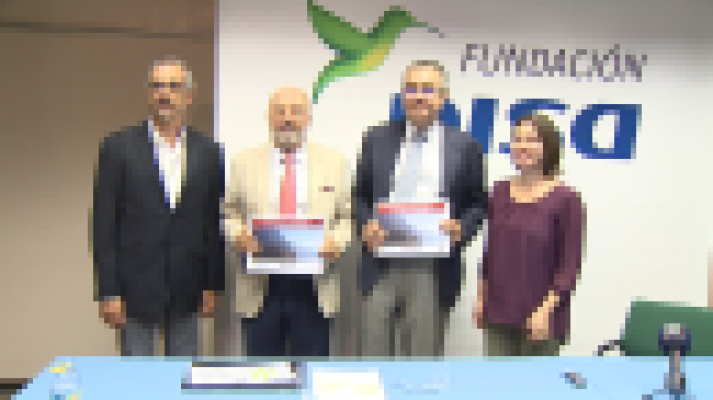  - Disa informe económico