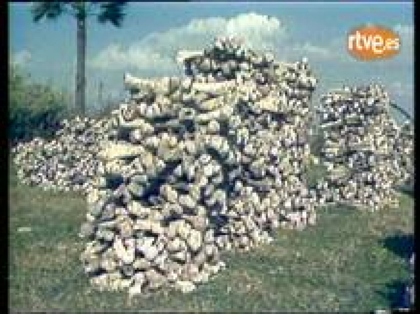 Comienza el juicio a los líderes del Jemer Rojo por el Holocausto de