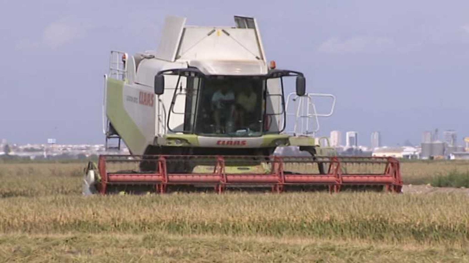 Agrosfera - 22/07/17 - ver ahora