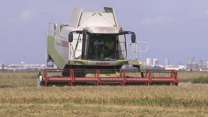 Agrosfera - Agrosfera - 22/07/17