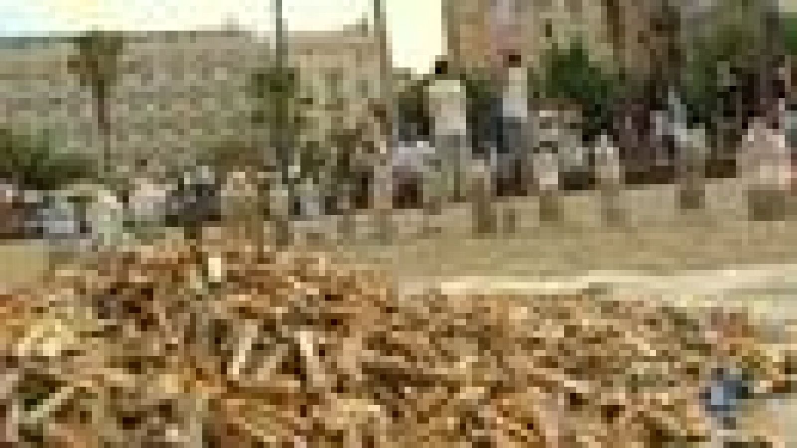 L'acció de la plataforma "No més burilles al terra" per conscienciar de la neteja dels carrers