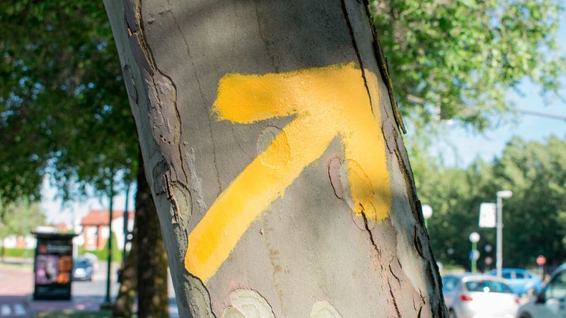 145.000 peregrinos han recorrido el Camino de Santiago en lo que va de 2017