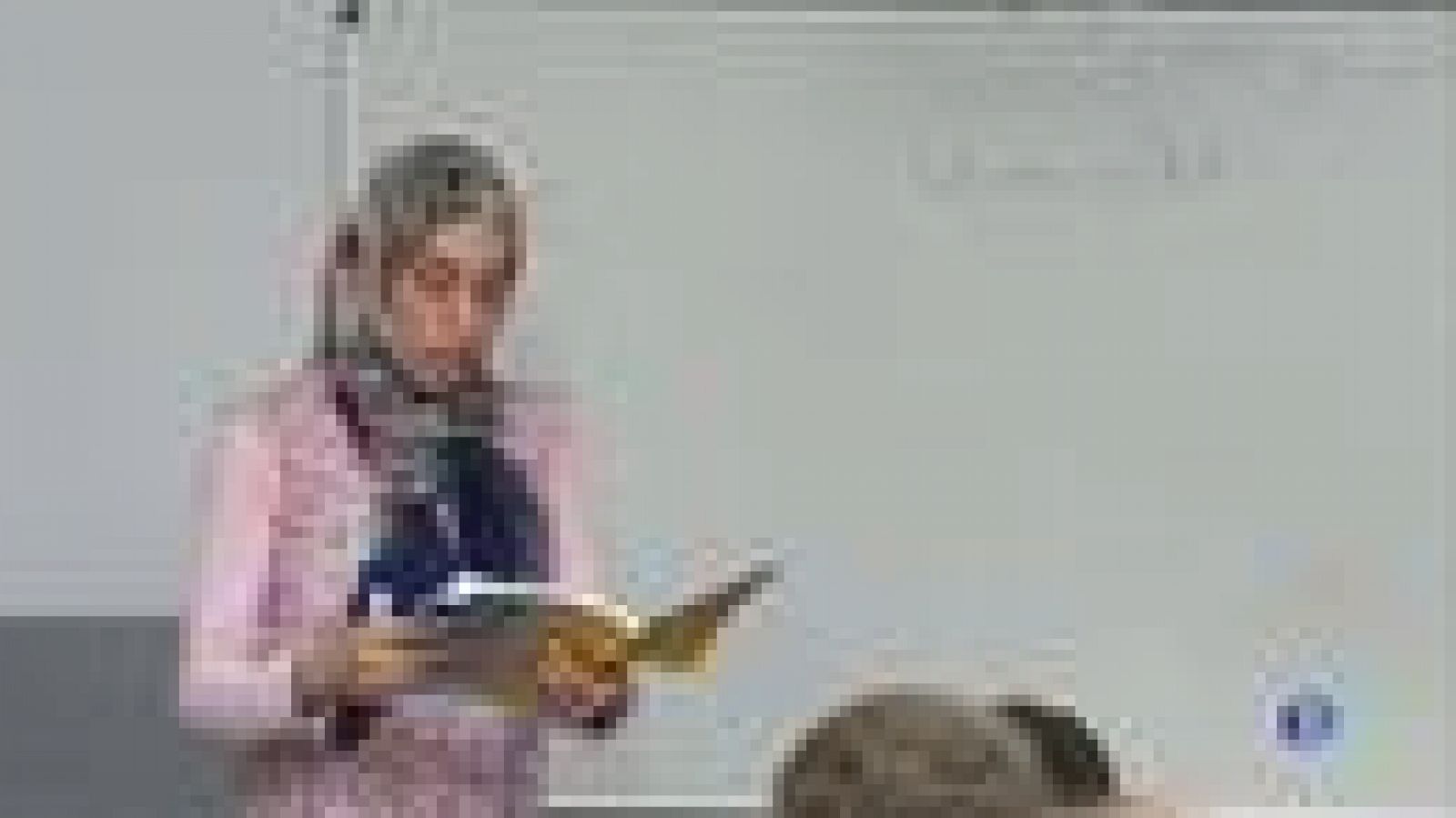 A Catalunya hi ha unes 80 madrases que defensen una interpretació radical de l'Islam