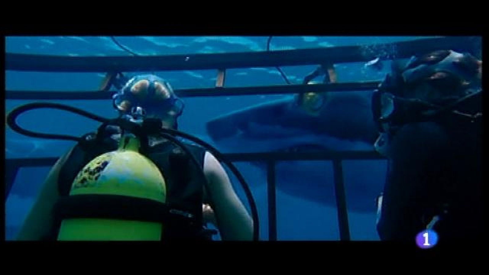 "A 47 metros", un film amb guionista mallorquí