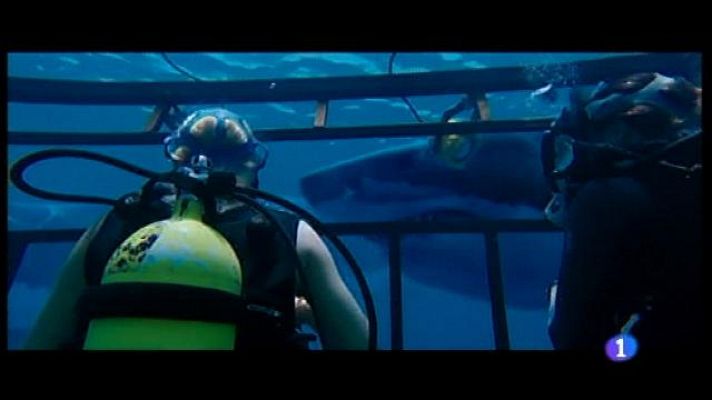 Informatiu Balear - "A 47 metros", un film amb guionista mallorquí