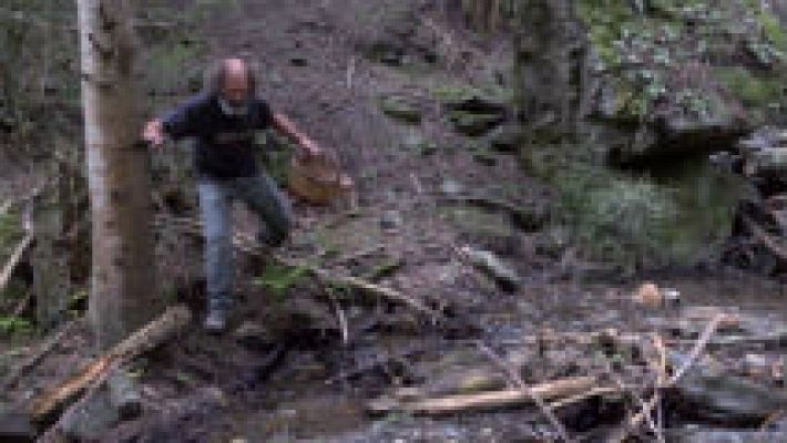 Aquí la Tierra - La primavera perdida