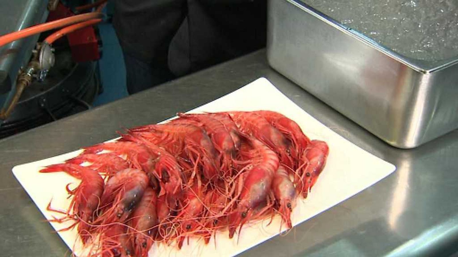 Somos #DietaMediterránea - La gamba de Dénia - ver ahora