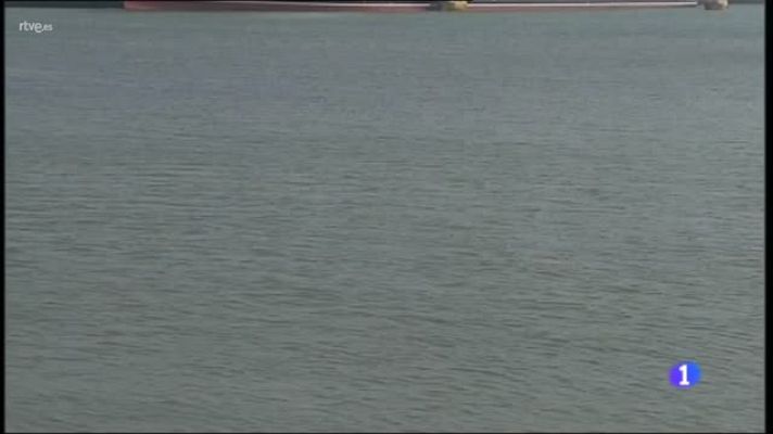  - Más de 17.000 pasajeros hoy en Cádiz en cuatro cruceros