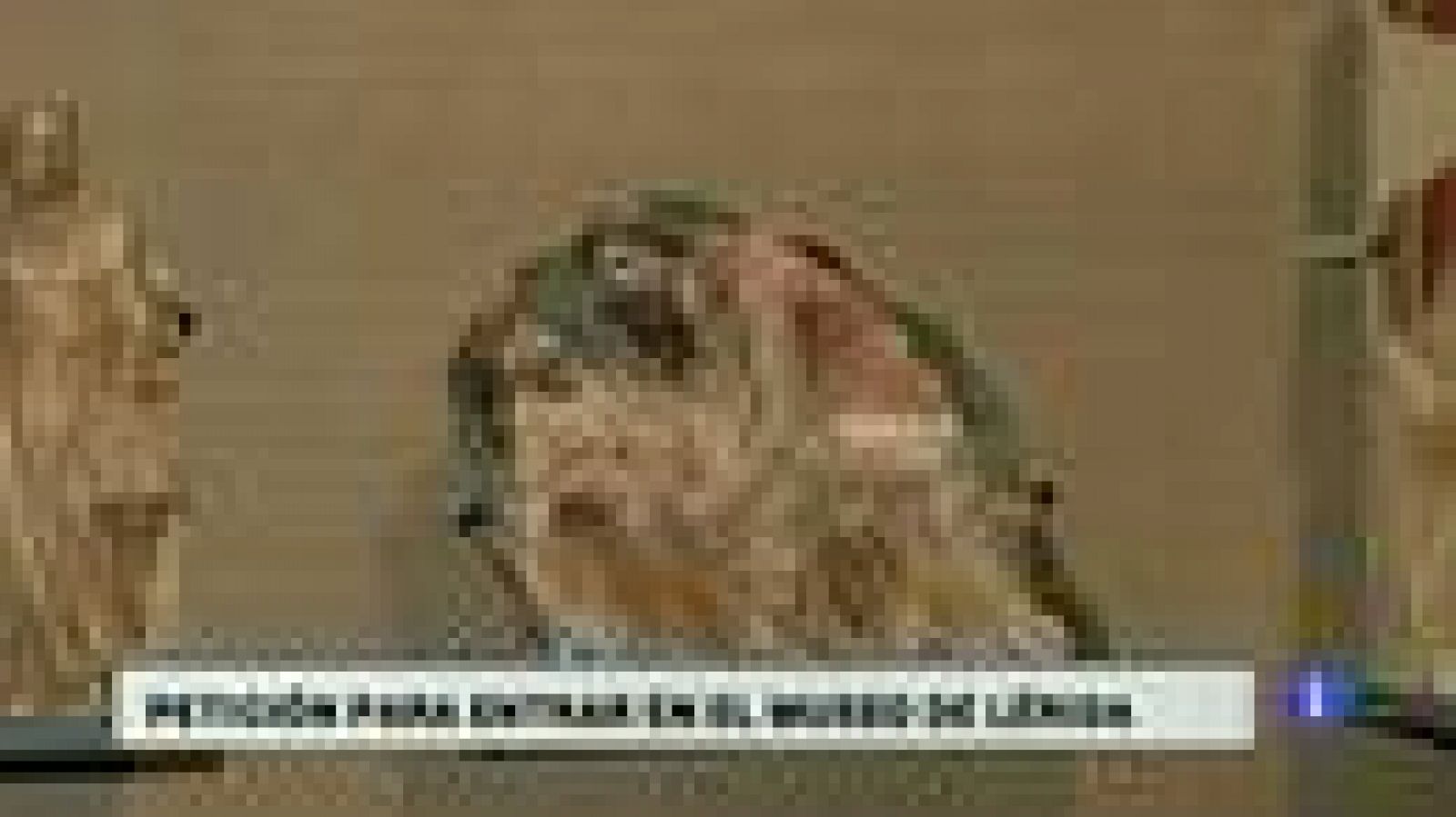 Aragón en 2'-26/07/17