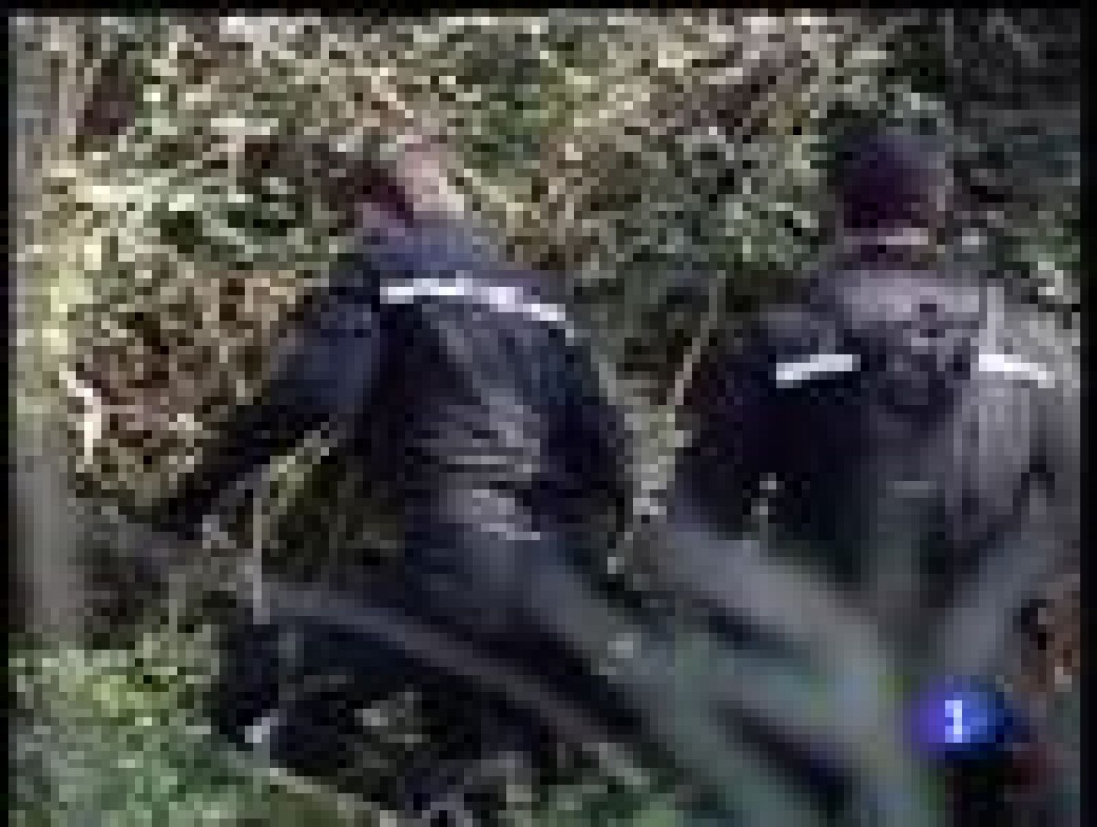 Telediario 1 en cuatro minutos - 17/02/09 | Ver