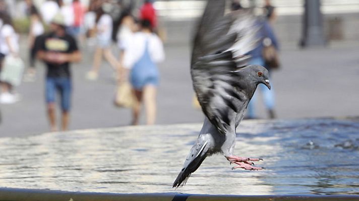 Informativo de Madrid - El Tiempo en la Comunidad de Madrid - 27/07/17