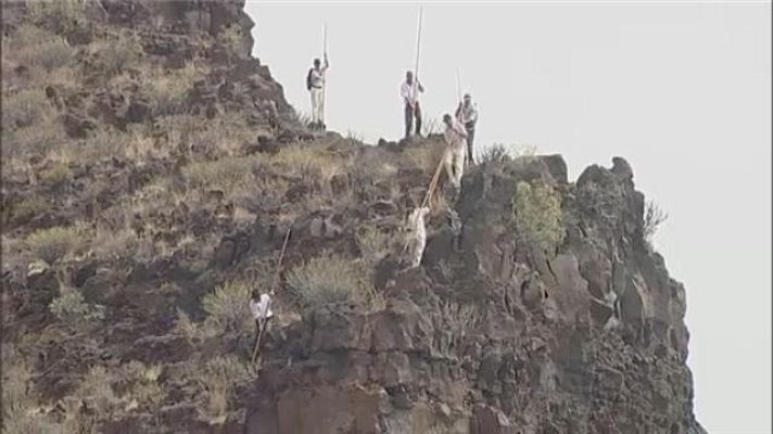 Telecanarias - Deportes Canarias - 27/07/2017