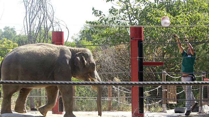 Informativo de Madrid - El Tiempo en la Comunidad de Madrid - 28/07/17