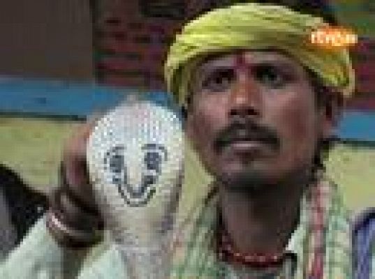  - Protesta encantadores de serpientes