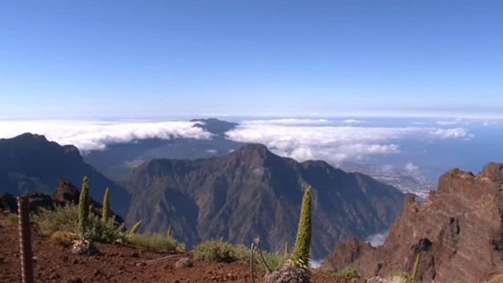 Comando Actualidad - El verano de las estrellas - Avance