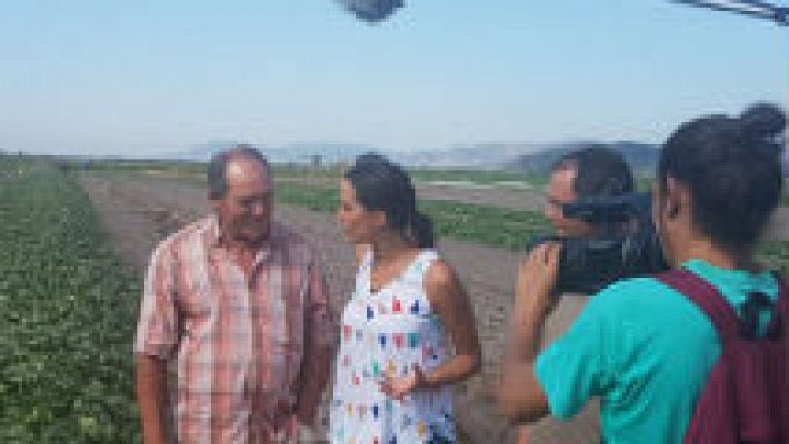 Aquí la Tierra - Melones con bruma de mar