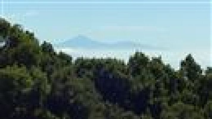 Telecanarias - El tiempo en Canarias - 01/08/2017