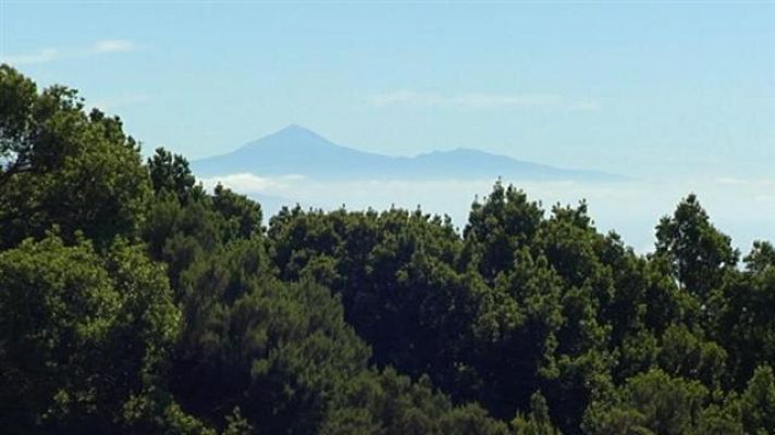 Telecanarias - El tiempo en Canarias - 01/08/2017