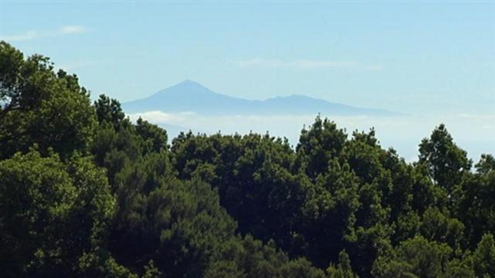 El tiempo en Canarias - 01/08/2017