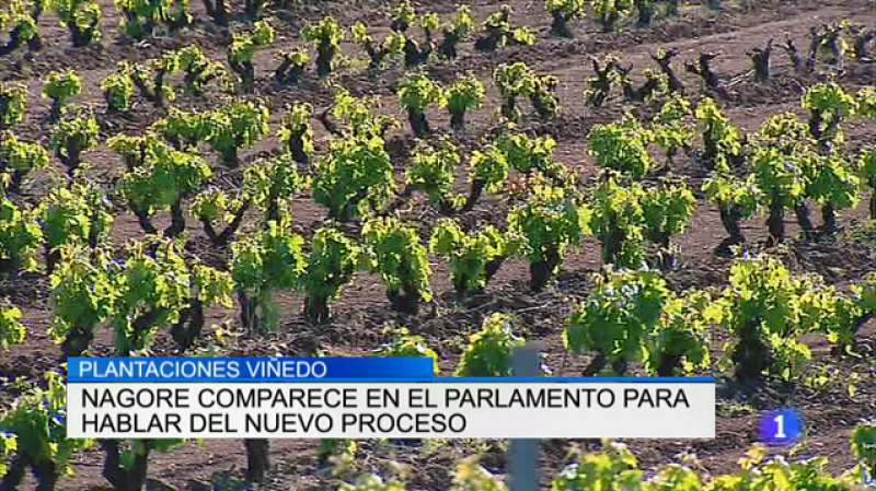  Informativo Telerioja - 01/08/17