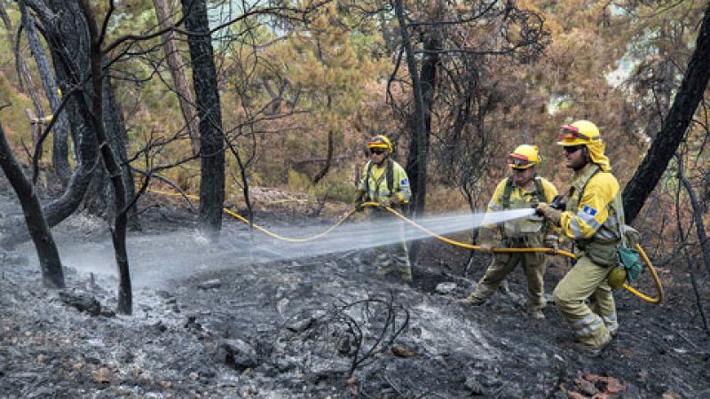 El fuego de Yeste sigue sin control y trabajan en su extinción más de 300 personas