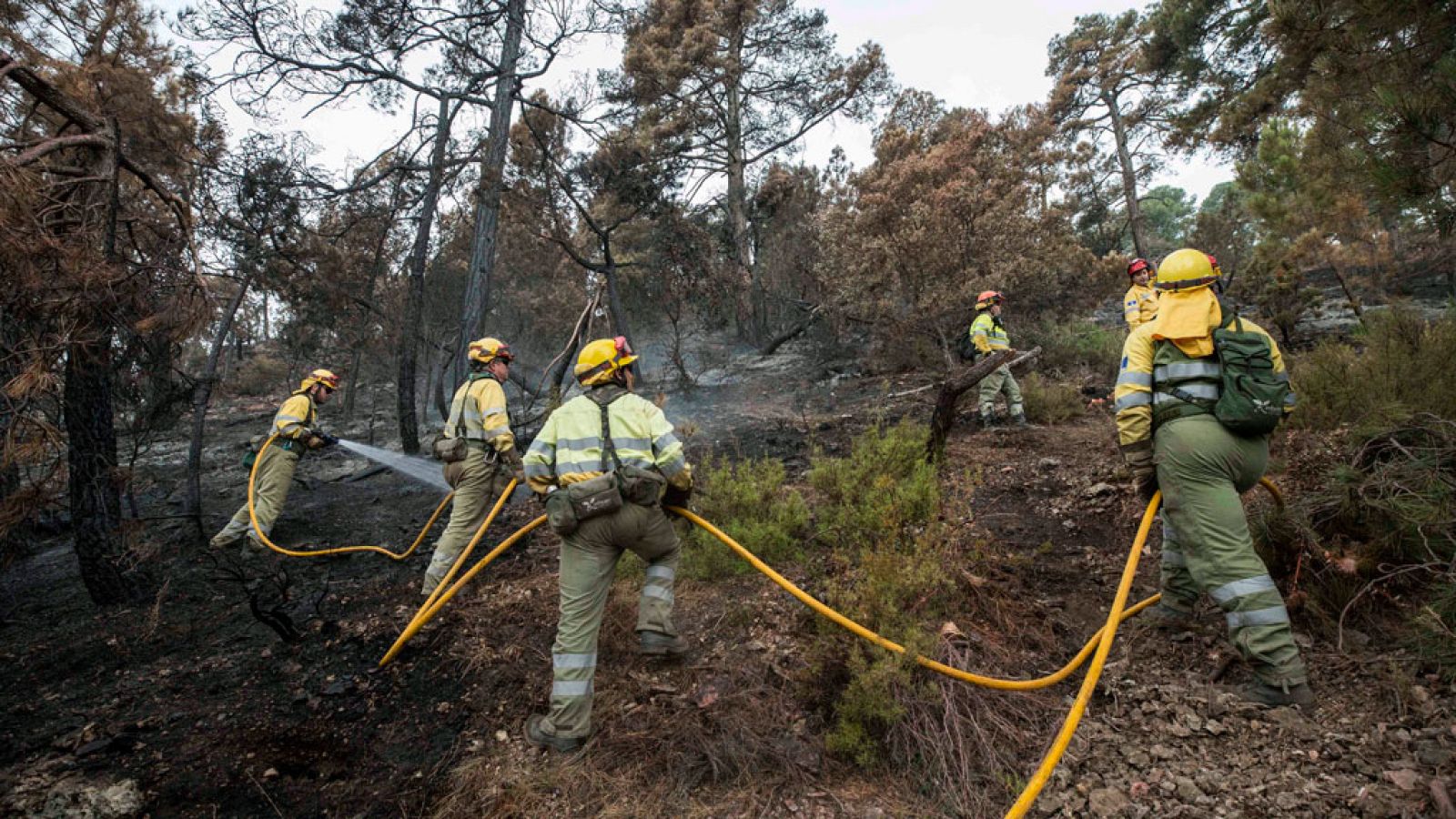 Telediario 1: La mayoría de los evacuados por el incendio de Yeste vuelve a sus casas | RTVE Play