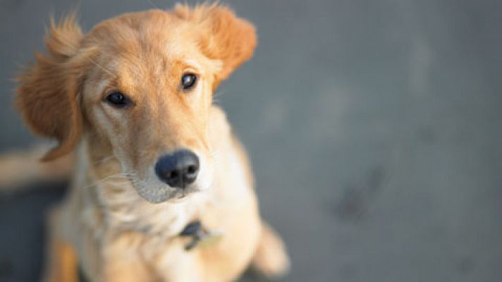 Informativo de Madrid - Informativo de Madrid 2 - 03/08/2017