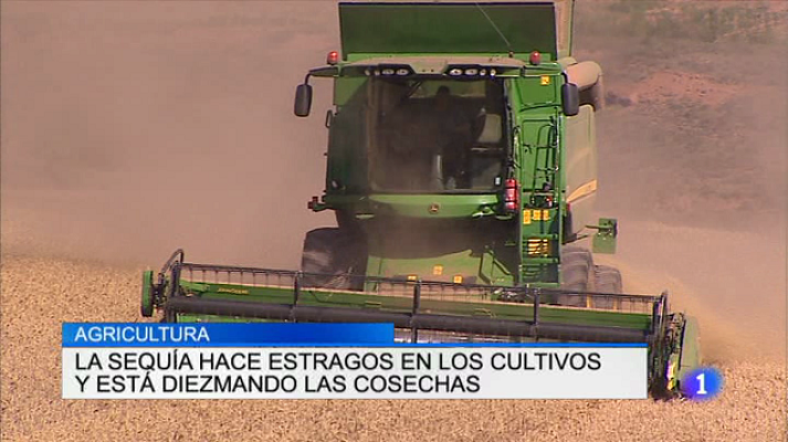 Informativo Telerioja - Informativo Telerioja 2 - 03/08/17