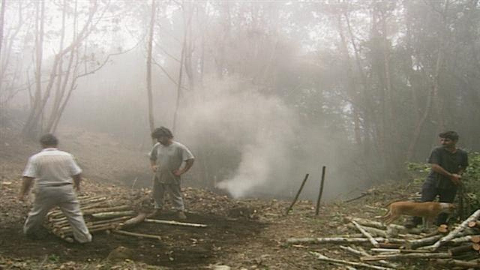 Senderos isleños - Vivir del monte I