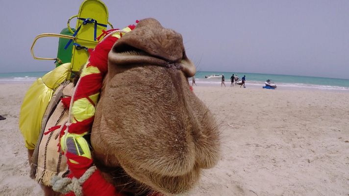 Españoles en el mundo - Españoles en el mundo viaja a Túnez