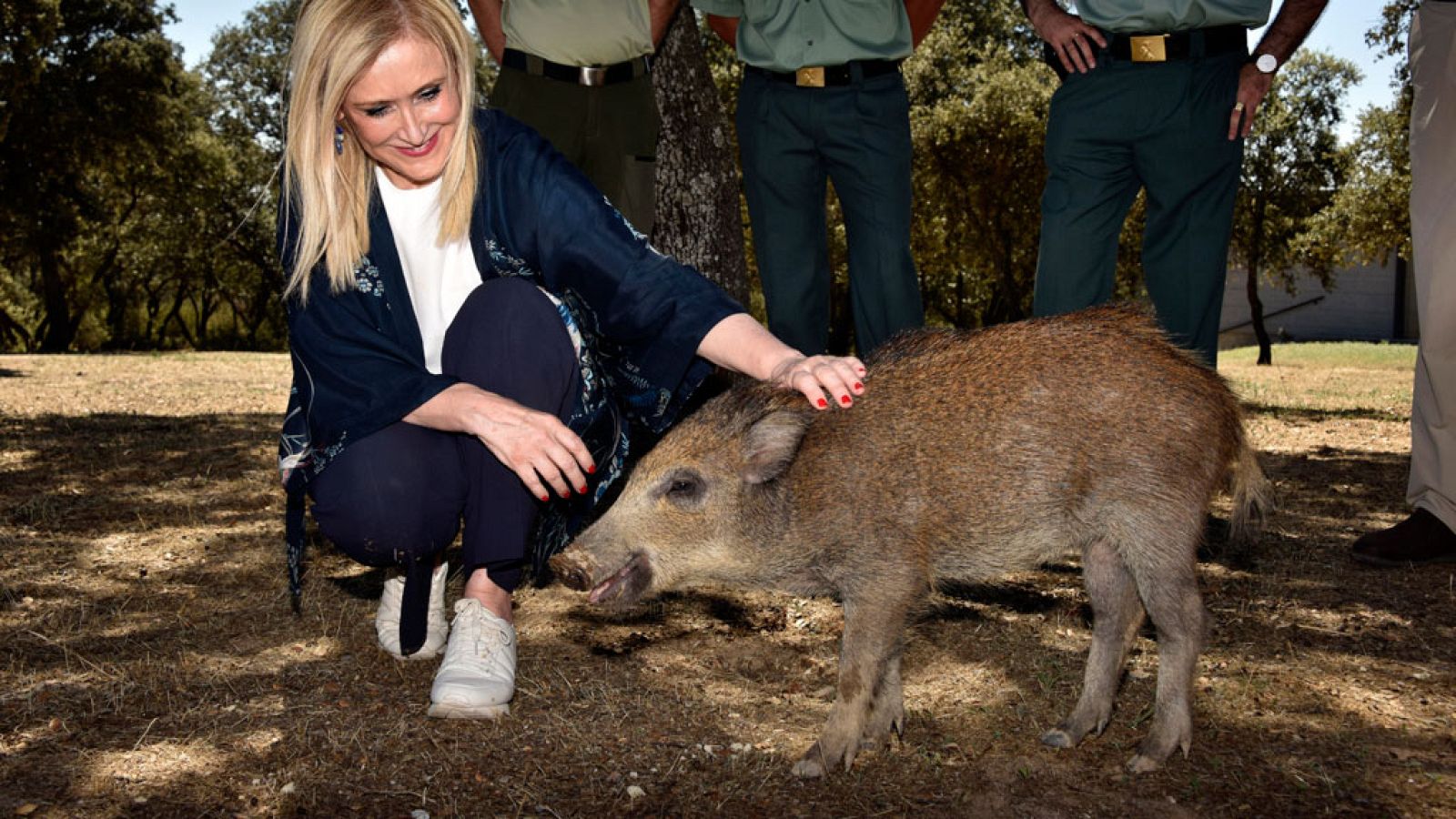 Informativo de Madrid: Informativo de Madrid 2 - 04/08/17 | RTVE Play