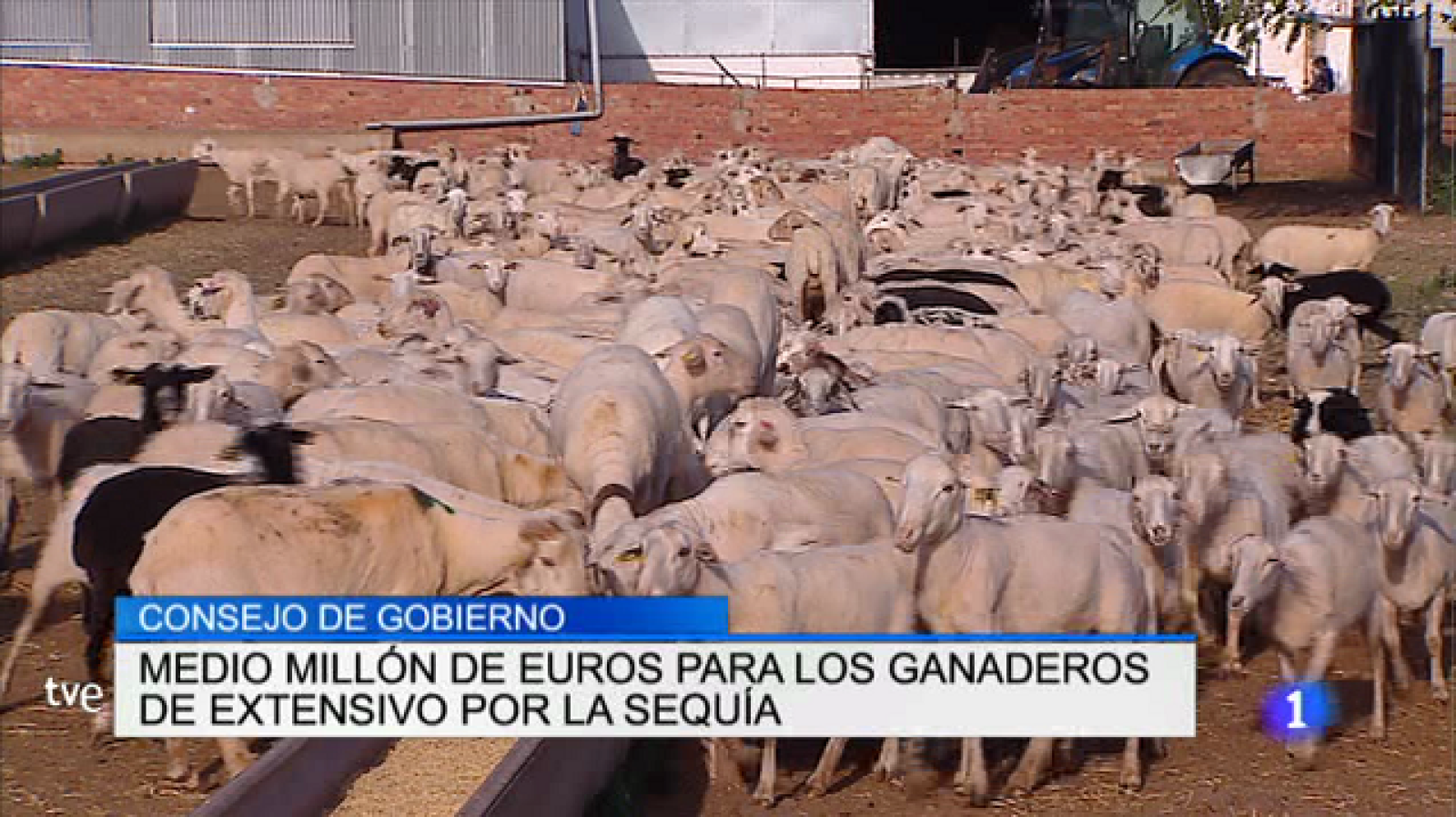 Informativo Telerioja - 04/08/17