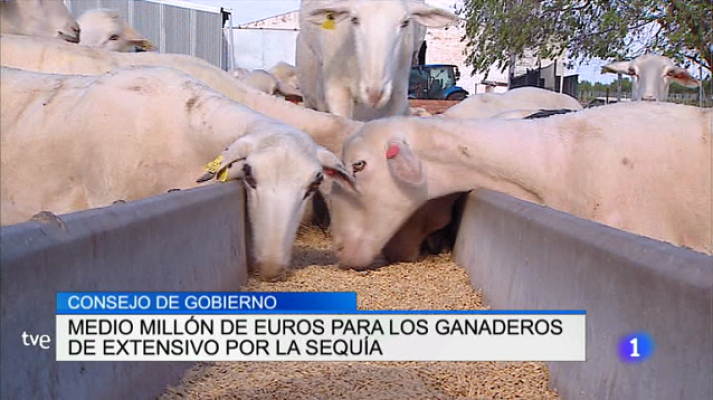 Informativo Telerioja - Informativo Telerioja 2 - 04/08/17