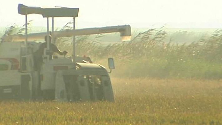 L'informatiu - Comunitat Valenciana - L'Informatiu - Comunitat Valenciana - 07/08/17