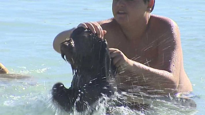 España en 24h - España en 24 horas - 08/08/17