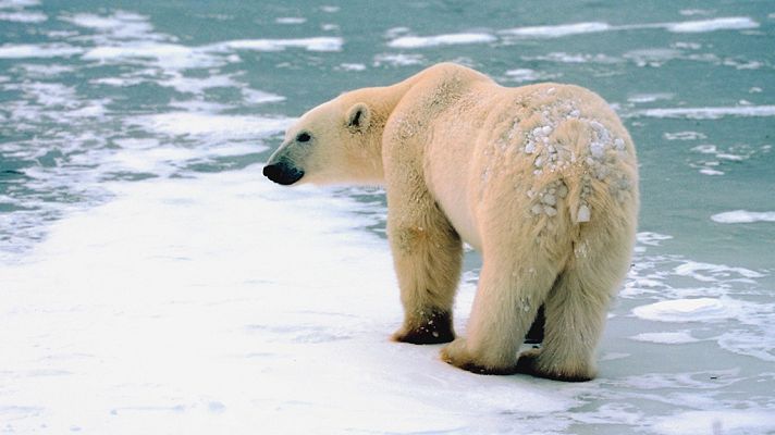 Grandes documentales - Juegos mortales: A segundos del desastre