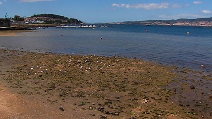 Una playa de Redondela, en Pontevedra, aparece como una de las más contaminadas de España