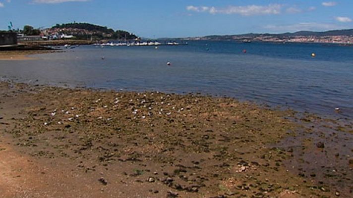 Telediario 1 - Una playa de Redondela, en Pontevedra, aparece como una de las más contaminadas de España